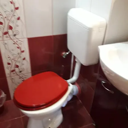 Vila Cu Flori * סינאיה