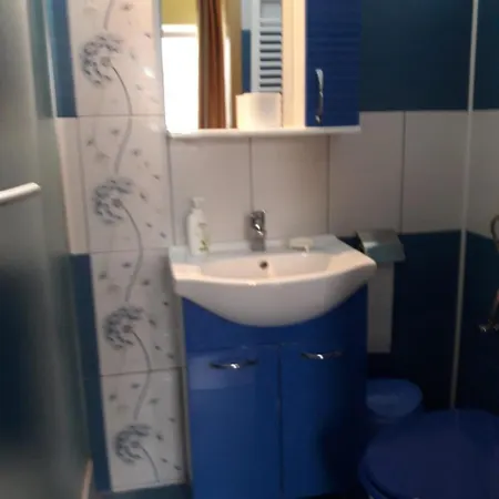 בית הארחה Vila Cu Flori