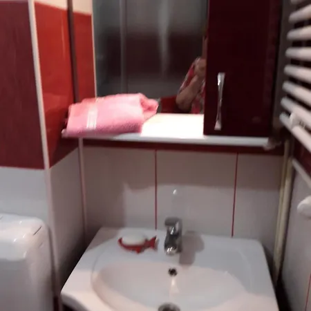 בית הארחה Vila Cu Flori *